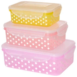 Rice Plastic Rectangular Food Boxes - Conservation De La Nourriture