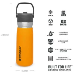 Stanley Iceflow Flip Straw Water Bottle - Bouteille Isotherme -Extérieur Camping Équip Magasin stanley iceflow flip straw water bottle bouteille isotherme detail 4